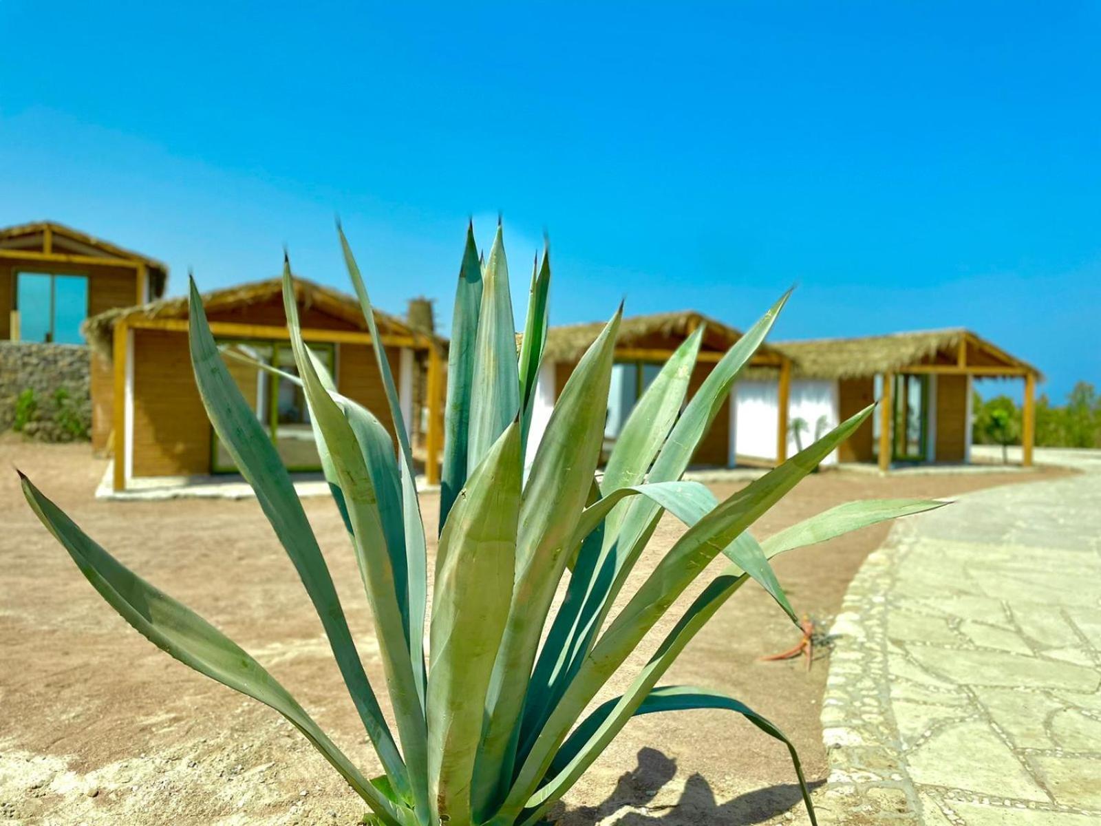 Ananda Beach Camp Nuweiba Luaran gambar